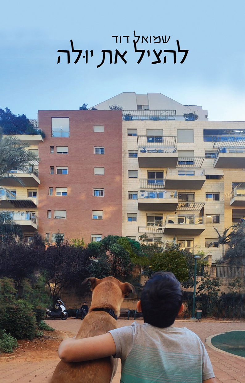 Save Yola / Shmuel David / Pomegranates