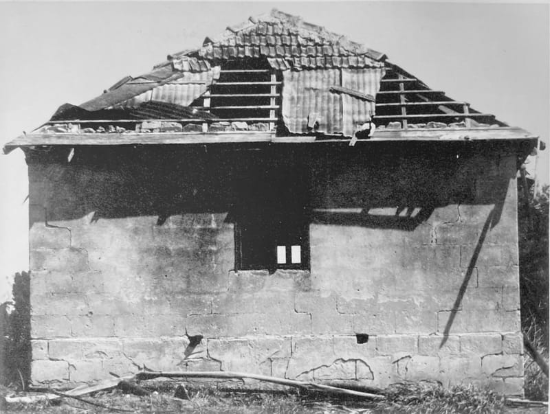 Witzo Academic Center: on the edge of the storm