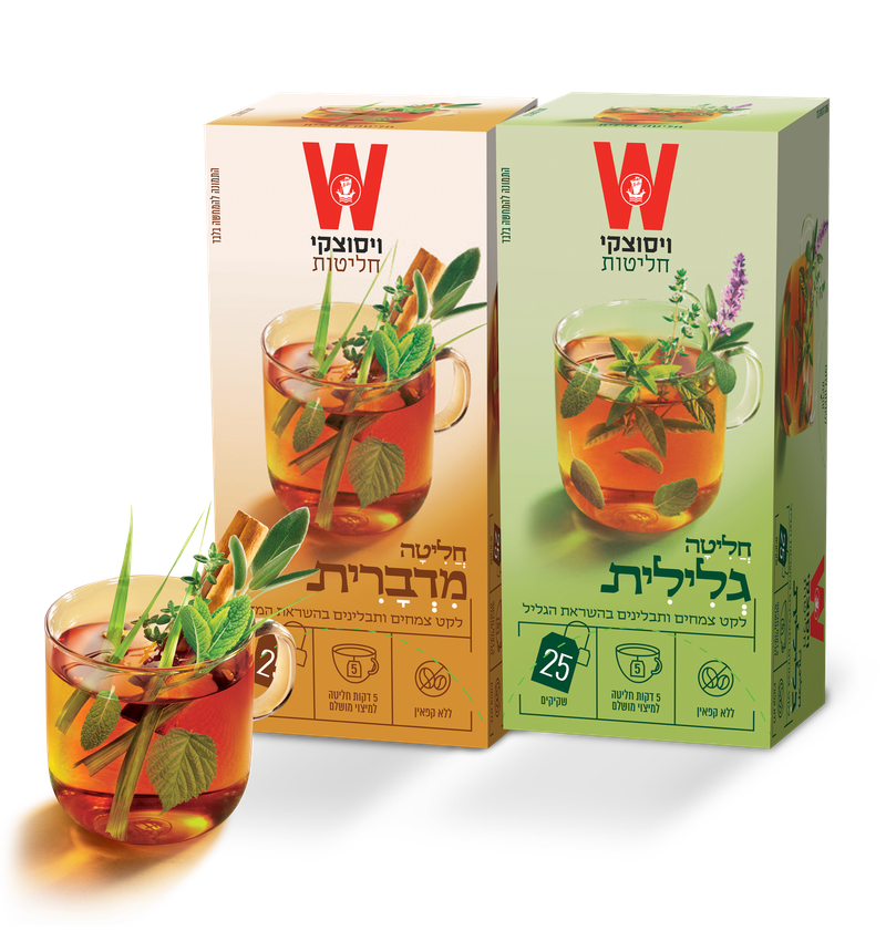 ויסוצקי משיקה: חליטה מדברית וחליטה גלילית