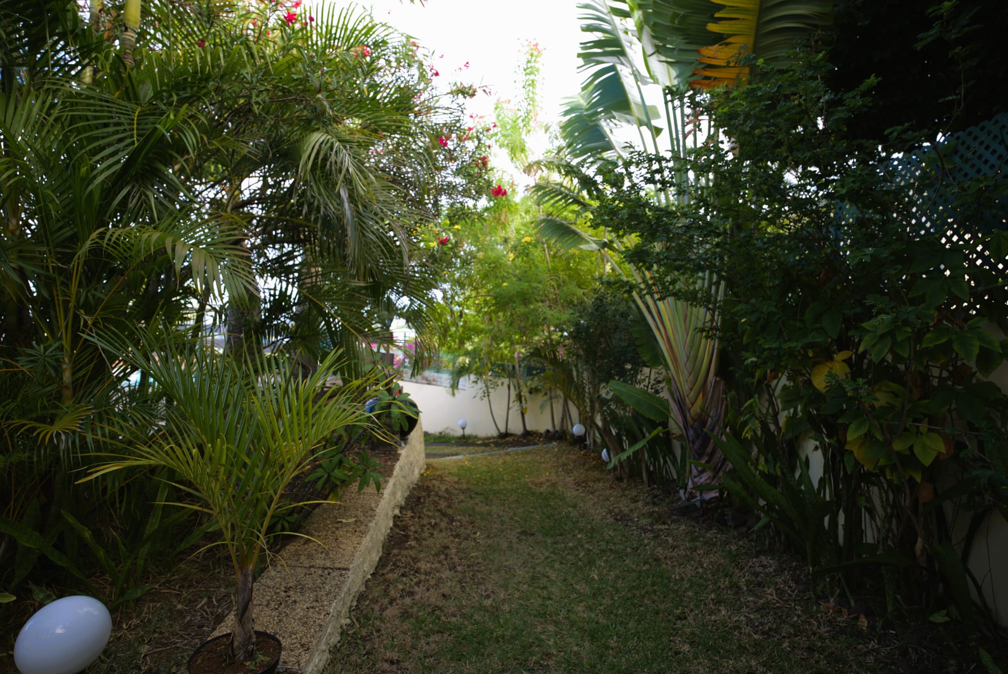 Ce bungalow de 40 m² offre un cadre confortable et harmonieux, avec parking privé et varangue invitant à la détente. Entièrement climatisé et équipé d’une connexion Wi-Fi gratuite, il a été pensé pour allier confort et praticité.