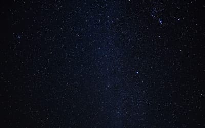 Steps to Choose a Mold Remediation Company