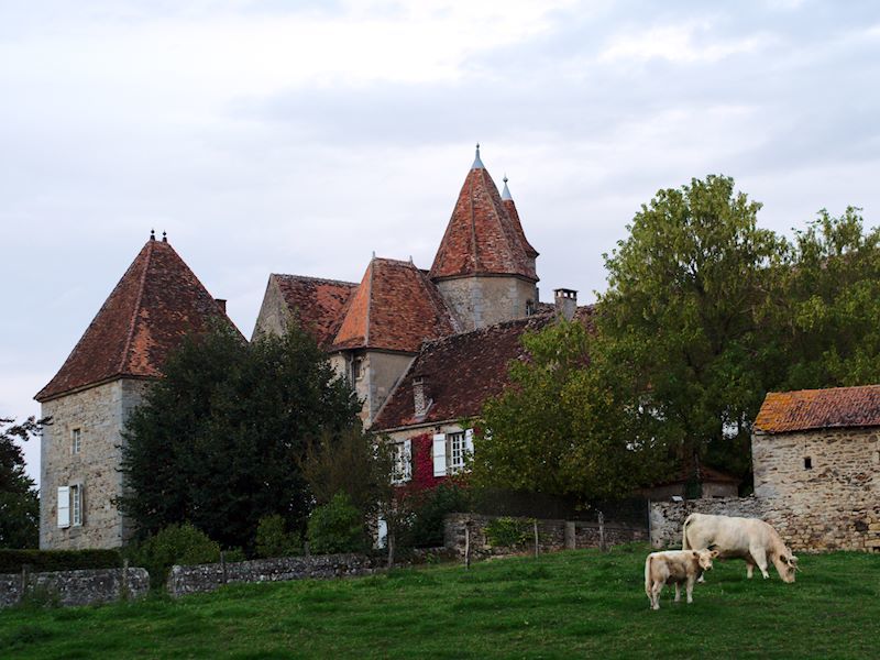 Saône-et-Loire : Le Territoire Des Mines au Charolais