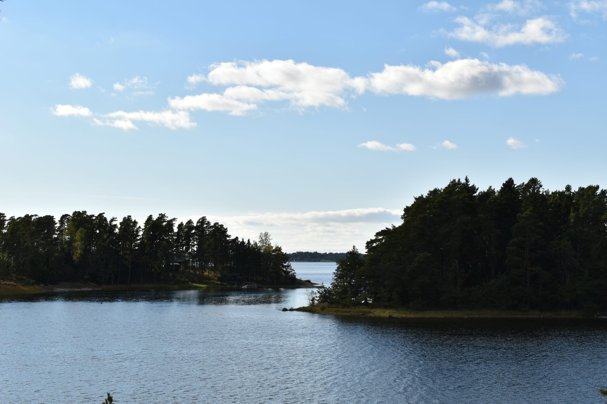 Varför skydda skogarna i skärgården?