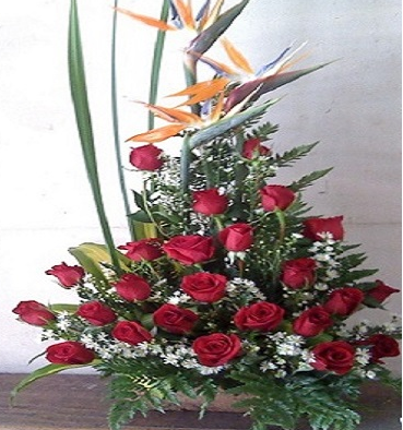 Flores de Manizales