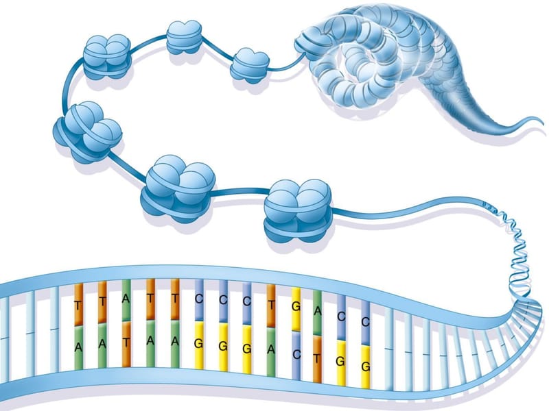 Misregulation of chromatin structure in disease