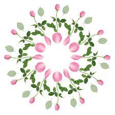 Soin contour yeux rose