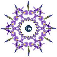 Soin jeunesse fermeté Iris