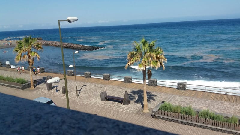 1 DAY WORKSHOP: YOGA AND MEDITATION