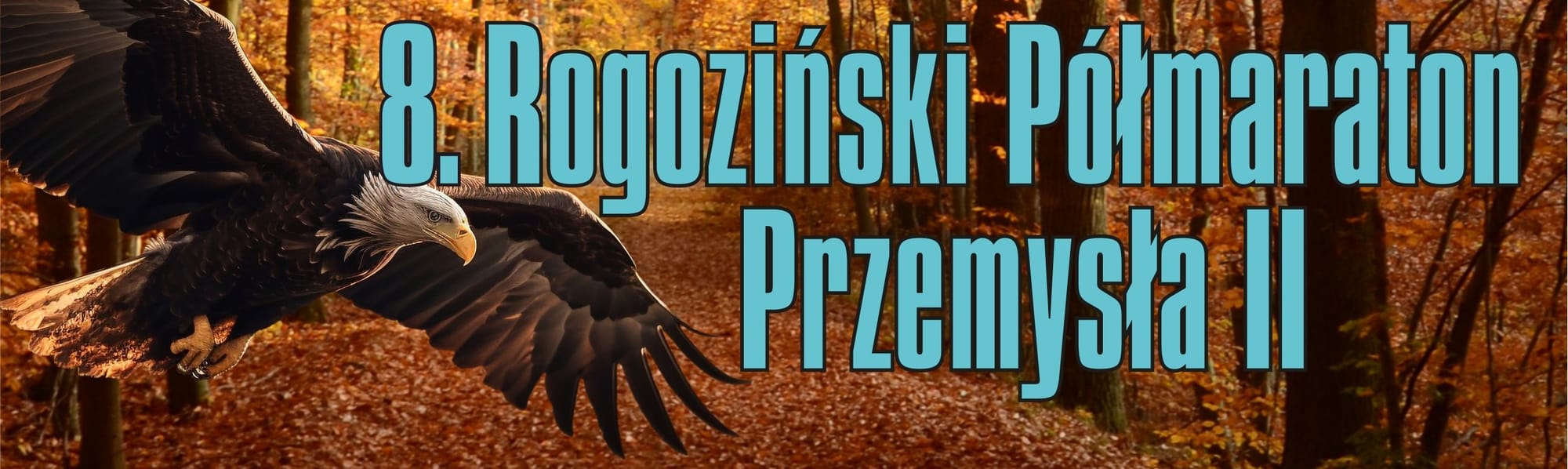 8. Rogoziński Półmaraton Przemysła II