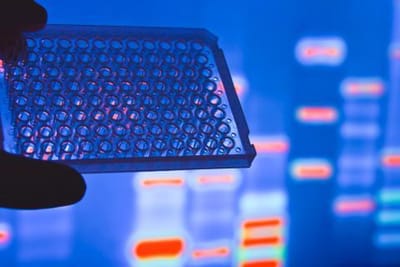 PCR