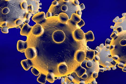 La batalla del coranovirus