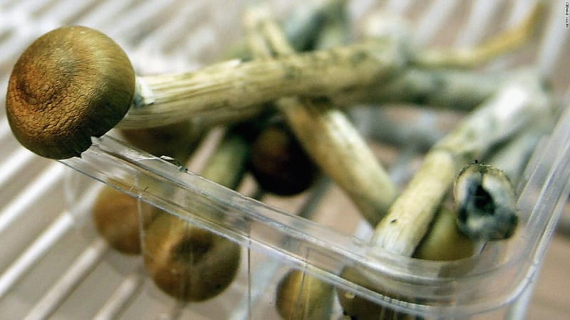 Ingrediente de ‘hongos mágicos’ podría usarse para tratar la depresión, según estudio.