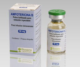 Anfotericina B.