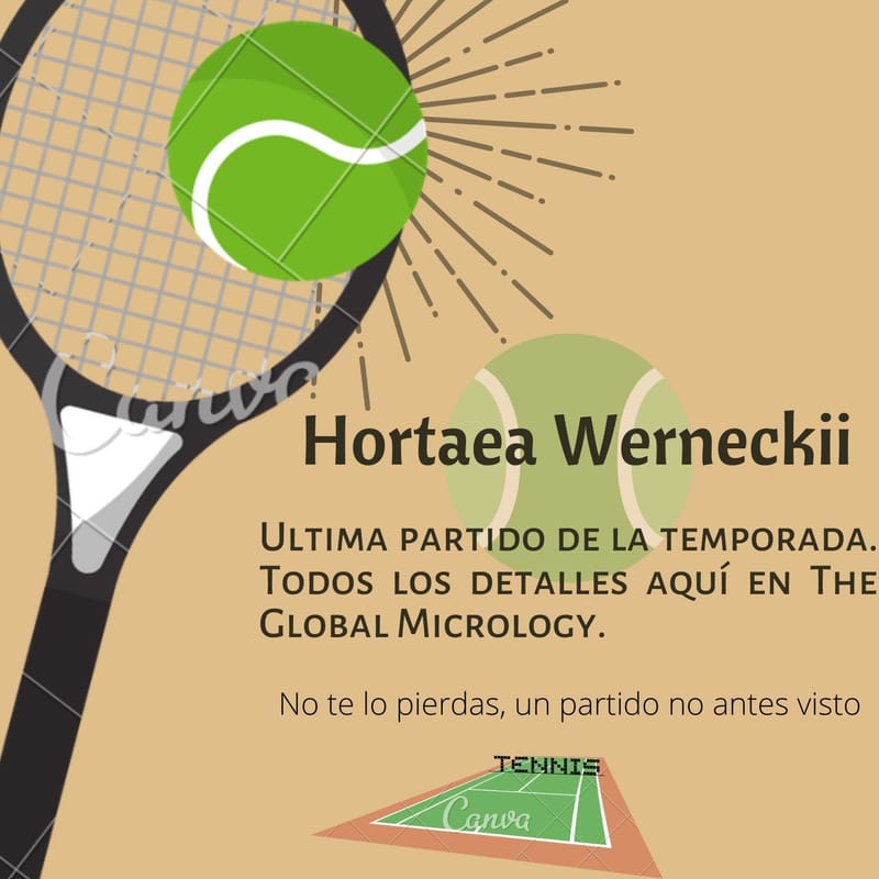 Ultimo partido de la temporada!!