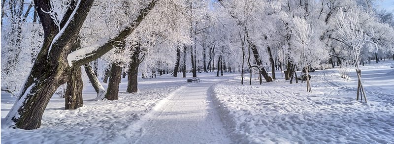 Ձմեռային ճամբար