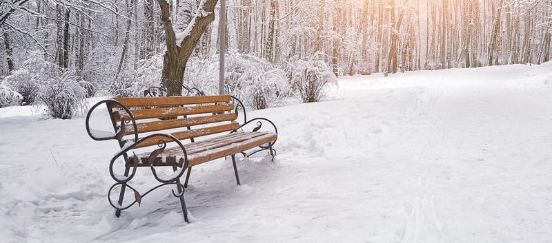 Ձմեռային այգու երգը