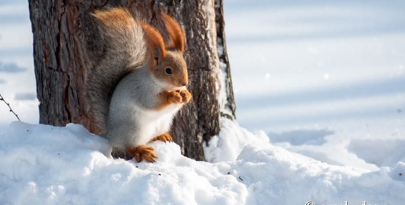 Ամփոփում ենք փետրվարը