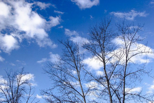 Մանկավարժական գարնանային բաց ճամբար. Մարտի 22-27