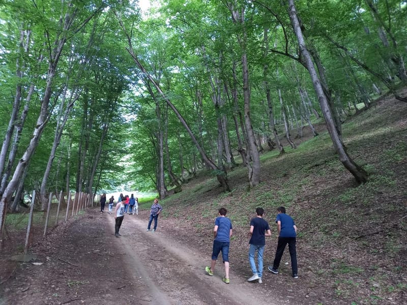 «Ամեն հարյուր քայլից աշխարհը փոխվում է...»