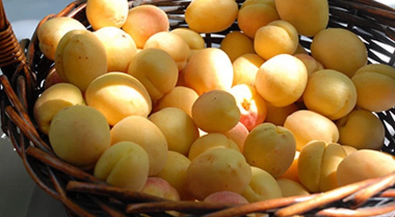 Ուսումնական հունիս