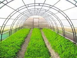 Ֆիզիկան երկրագործության մեջ