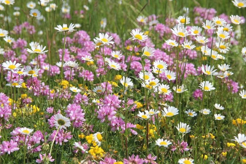 Չորրորդ ուսումնական շրջանի ամփոփում.
