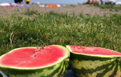 Մանկավարժական ճամբար, օգոստոսի 23-27