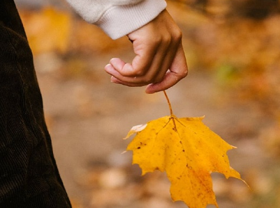 Հոկտեմբերի 25-29.