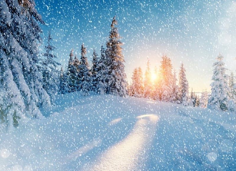 Ուսումնական առաջին շրջան