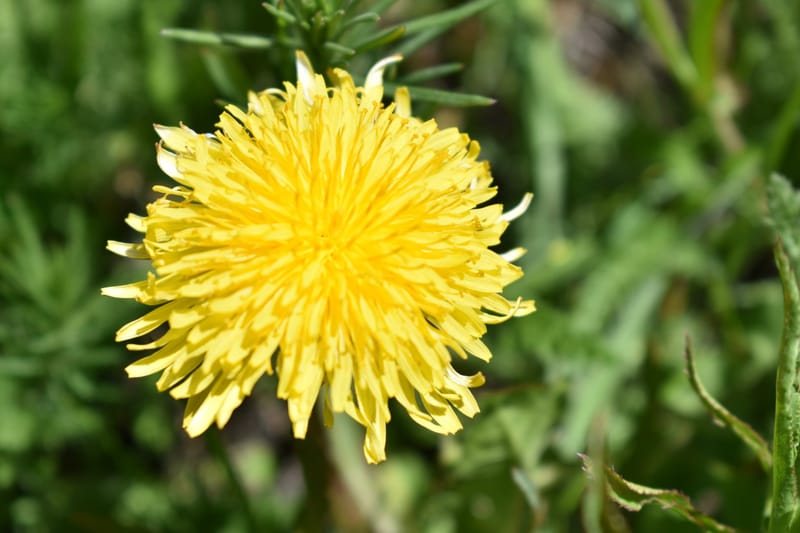 Երրորդ ուսումնական շրջանի ամփոփում