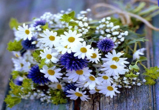 Օգոստոսի 22-26