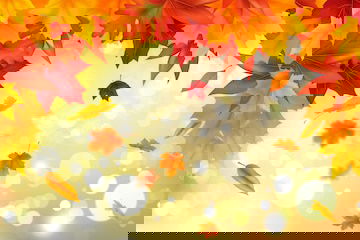 Աշնանային ամենամյա 17-րդ  հավաք