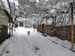 Ձմեռային ազգագրական փառատոն: Հարազատ վայրեր․․․