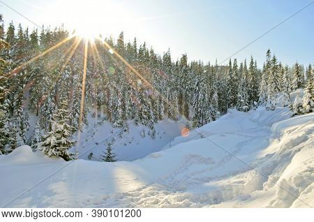 Երրորդ ուսումնական շրջան