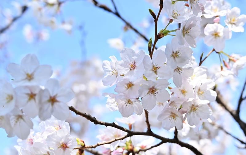 Ուսումնական գարուն-2023