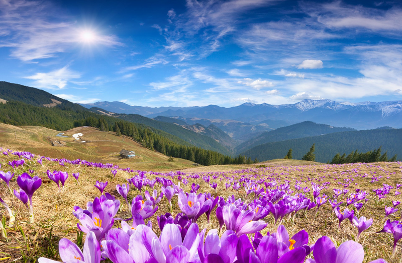 Ապրիլյան նախագծեր