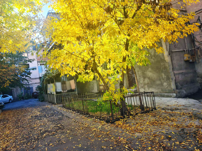 Հոկտեմբերյան հավաքի ամփոփում