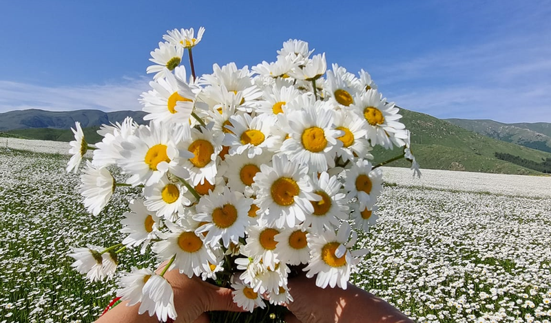 2023-2024 ուստարվա ամփոփում