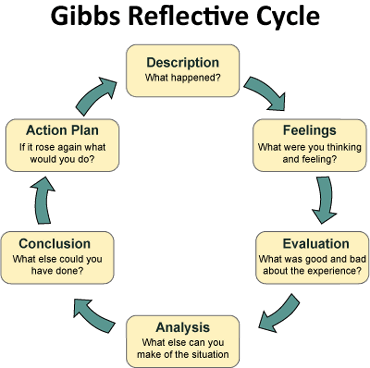 Interprofessional working reflection