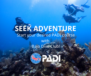PADI Courses