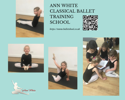 About The Program and School image