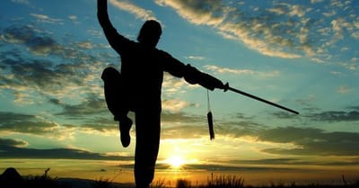 Chen Style TaiJi image