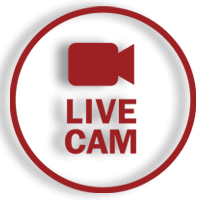 LIVE CAM