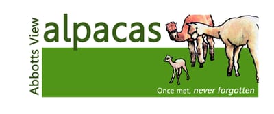 www.abbottsviewalpacas.co.uk