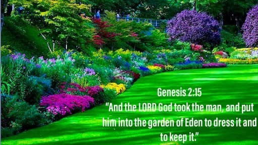 God Appointed Labor