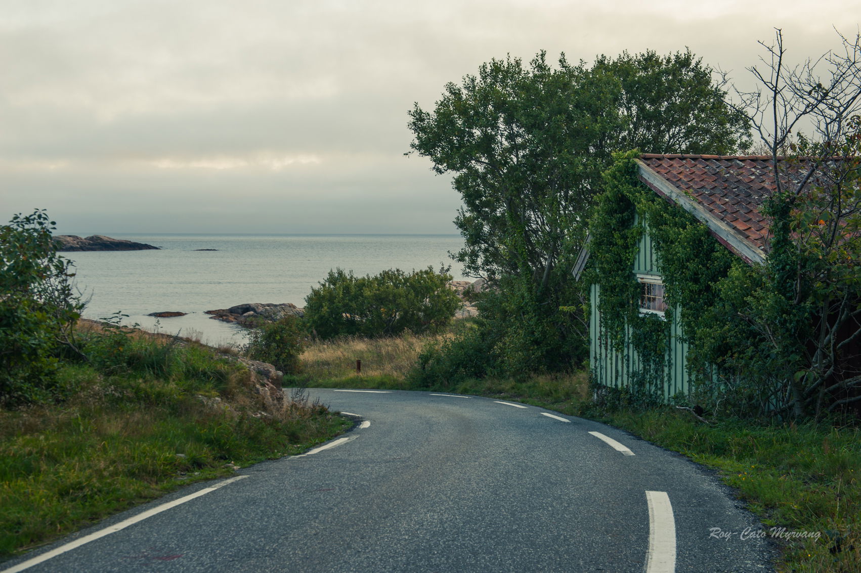 Veien ved havet.