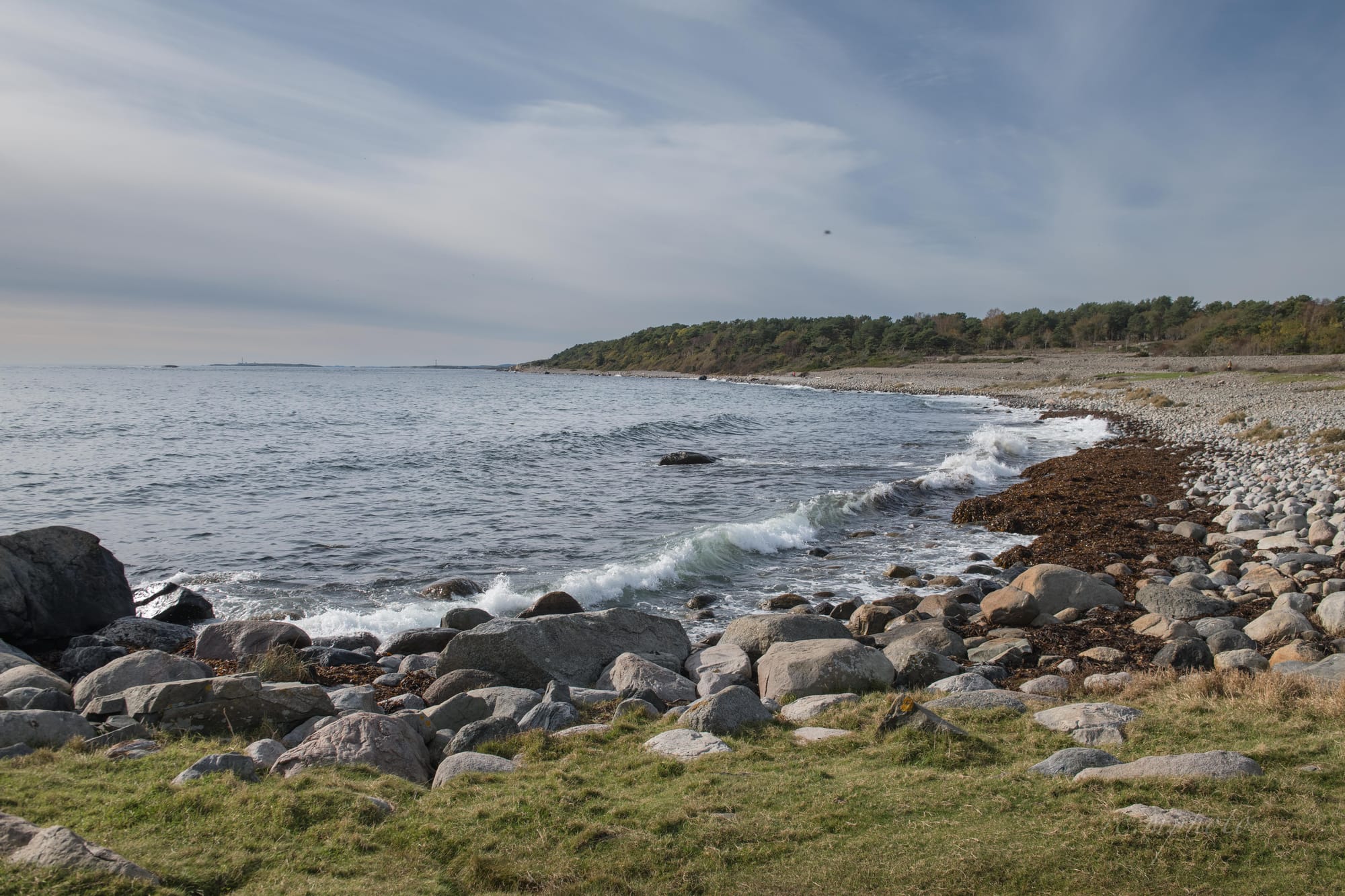 Bølgeskvulp mot stranda, Tromøya.