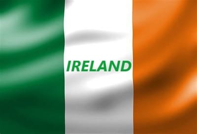 MCNELLY FAMILY HISTORY image