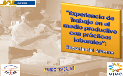 EXPERIENCIA DE TRABAJO EN EL MEDIO PRODUCTIVO CON PRÁCTICAS LABORALES- REPORTE DEL ALUMNO