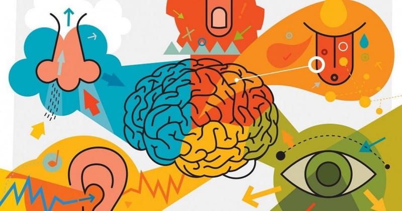 ALTERACIONES SENSORIALES  Y EL IMPACTO EN EL ALUMNO